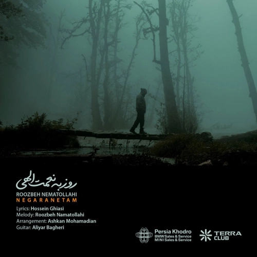 Cover artwork for Negaranetam by Roozbeh Nematollahi